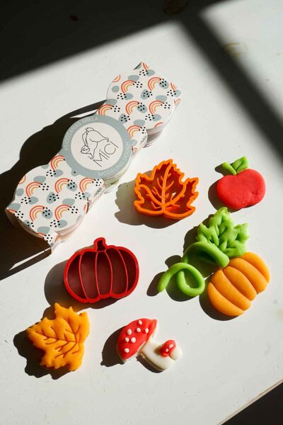 AUTUMN playdough set